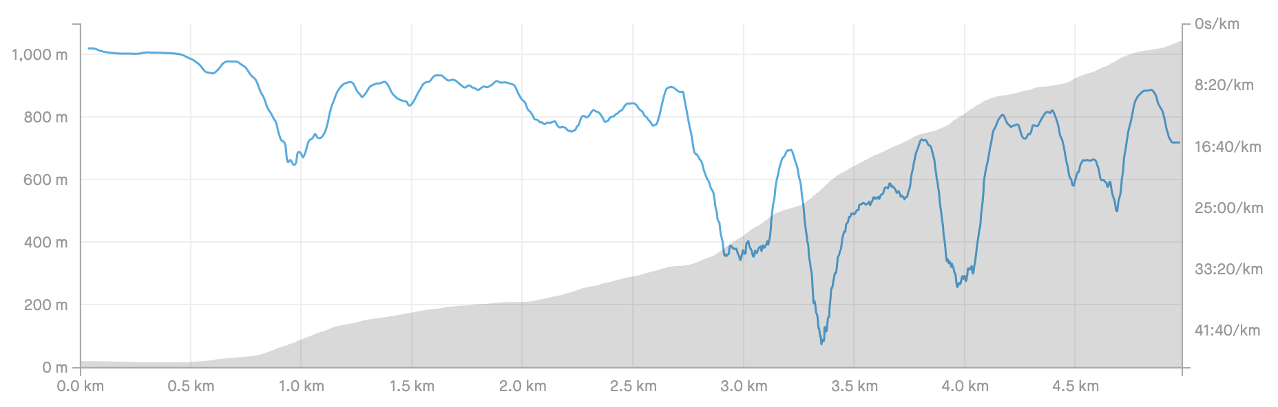 Strava profile